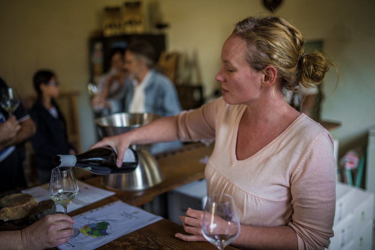 Chateau Thebaud Muscadet Sevre et Maine 2020