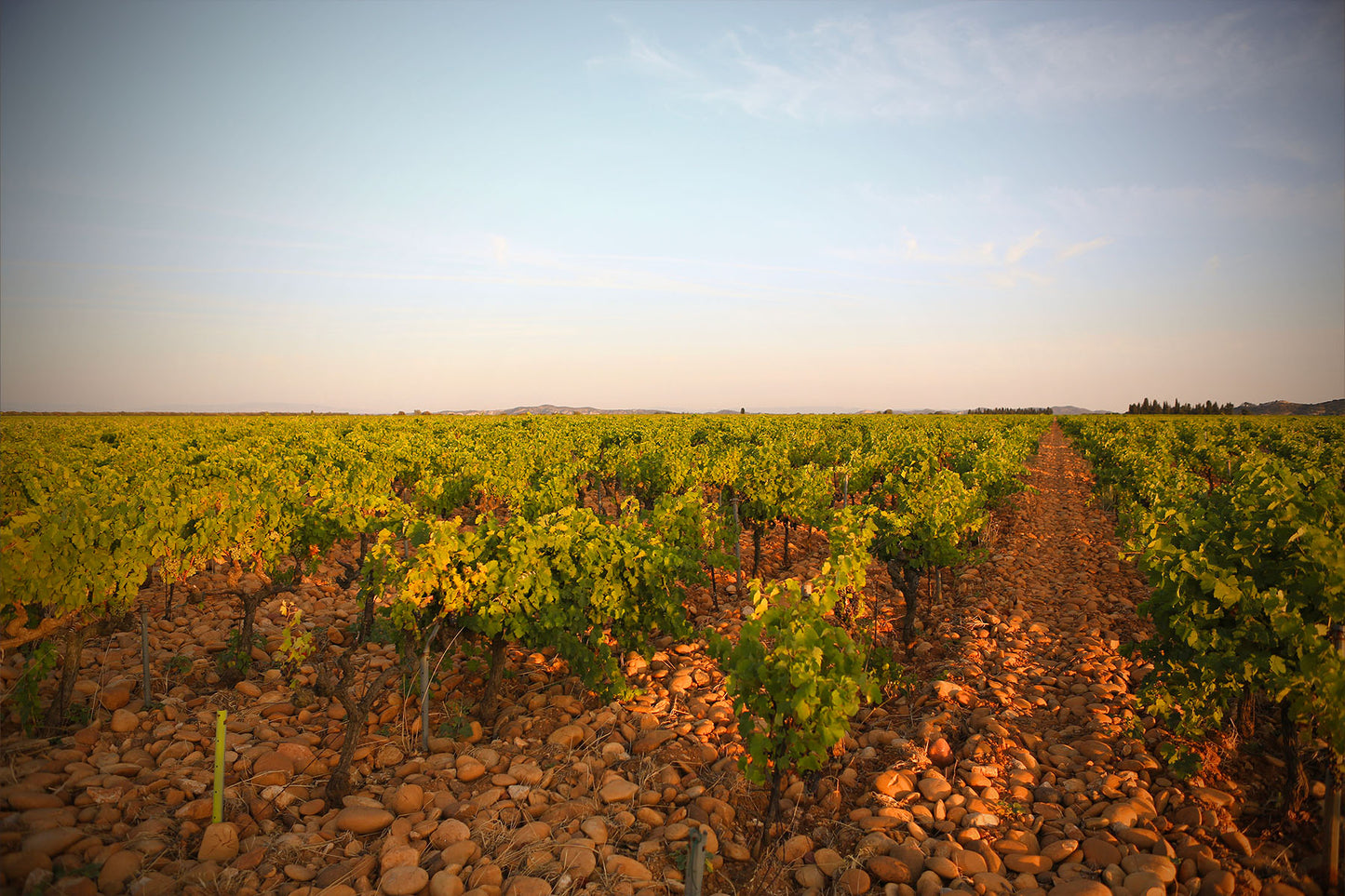 Cuvée 'RL' 2021